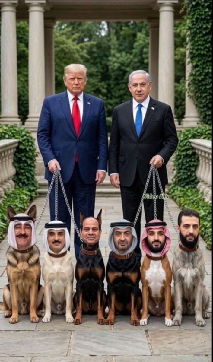 مـِحمدُ tweet media