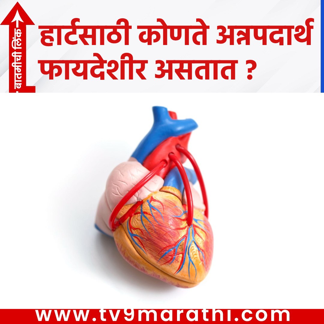 TV9Marathi's tweet image. हार्टसाठी कोणते अन्नपदार्थ फायदेशीर असतात ?
 tv9marathi.com/web-stories/li…
#Hearthealth #lifestyle #bloodpressure #cholesterolcontrol #balanceddiet #oats #brownrice #coarsegrains #fiber #spinach #fenugreek #leafyvegetables #antioxidants #almonds #walnuts #flaxseeds #apples