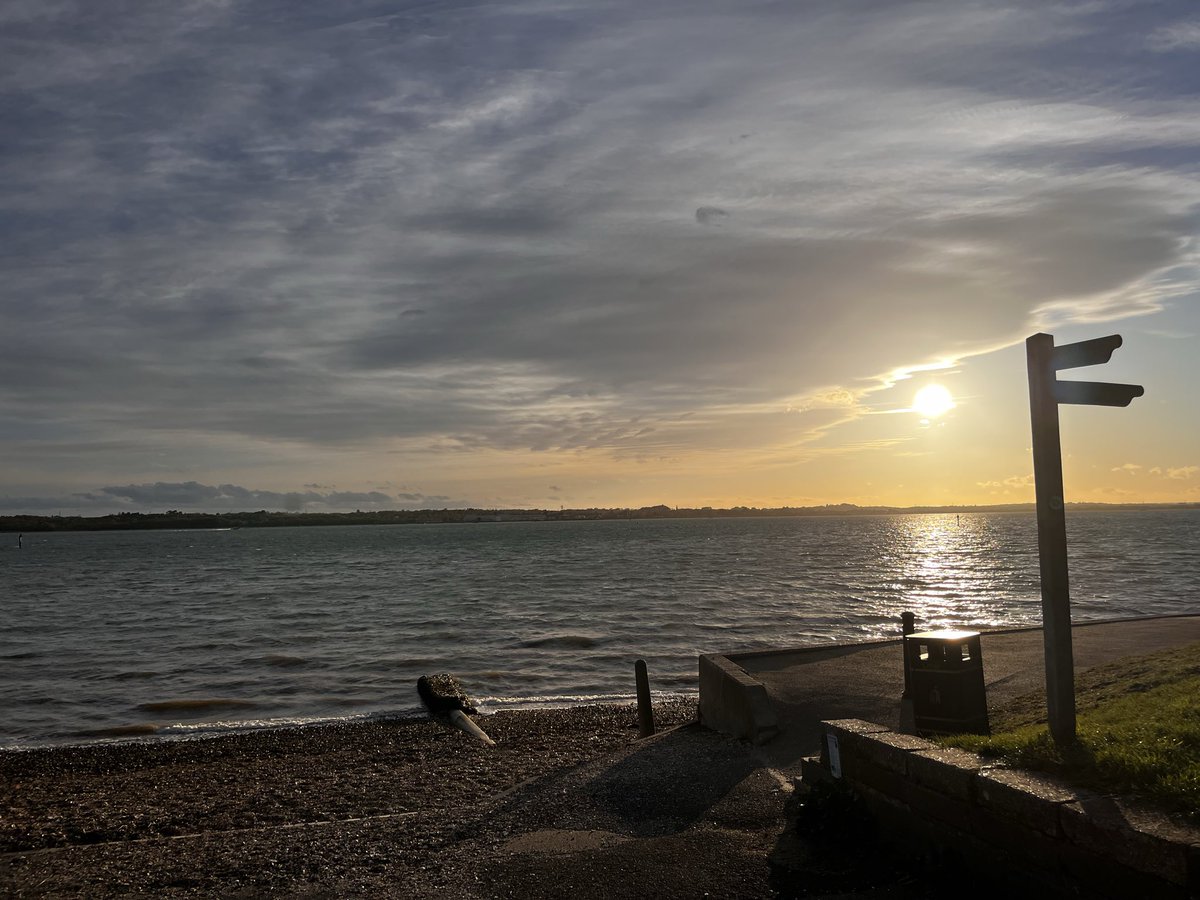 Nick Thorne tweet media