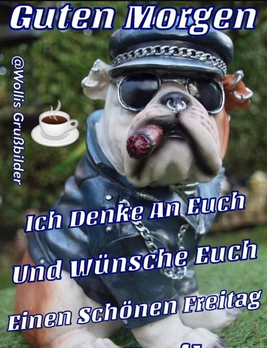 Gúnter G. tweet media