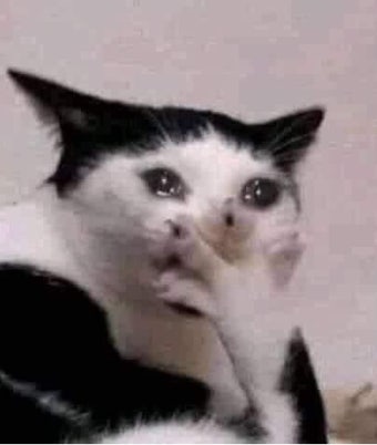 👠미키📷 tweet media