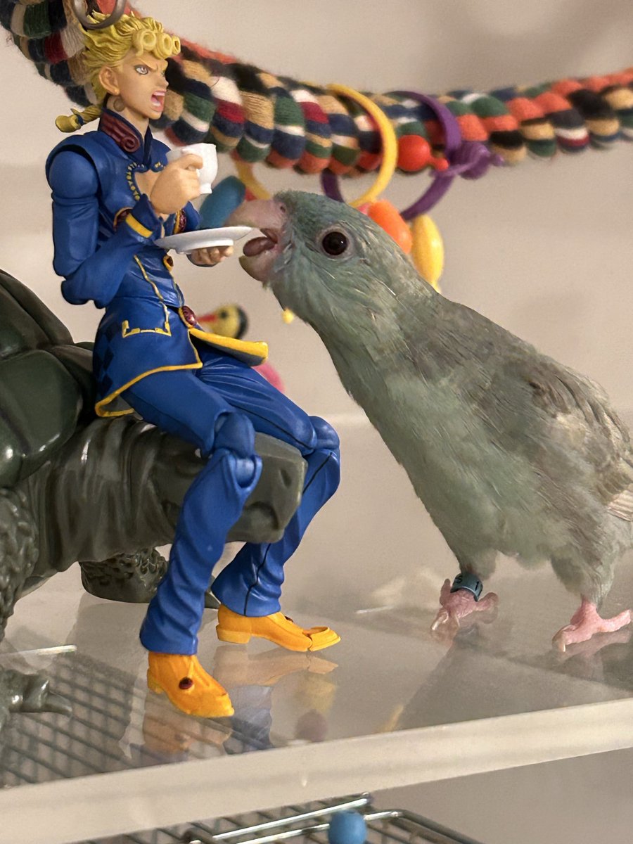 丸ちゃん tweet media