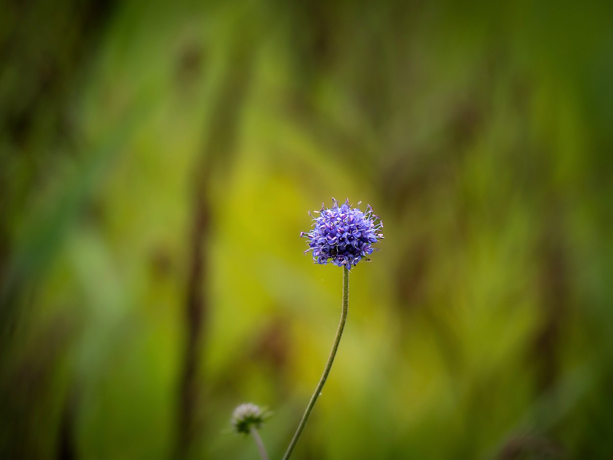 Jeff Richardson tweet media