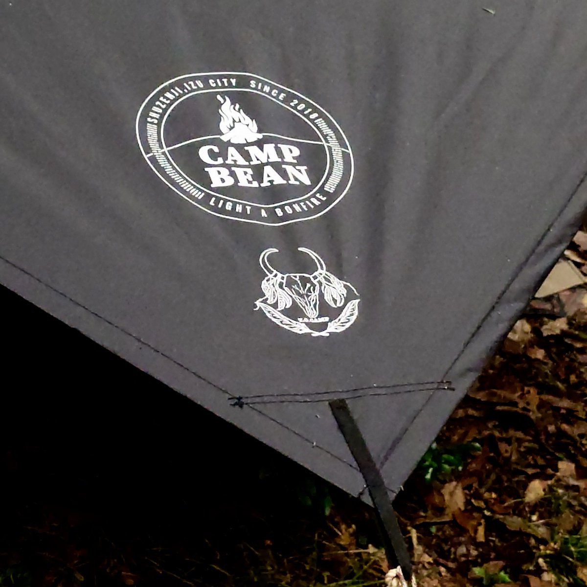 ソロキャン仙人🏕️ソロ仙 tweet media