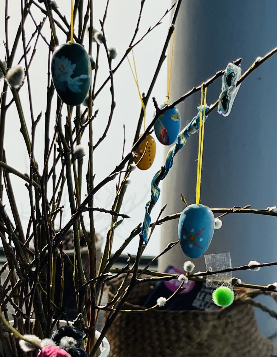 Paula Lavanko tweet media