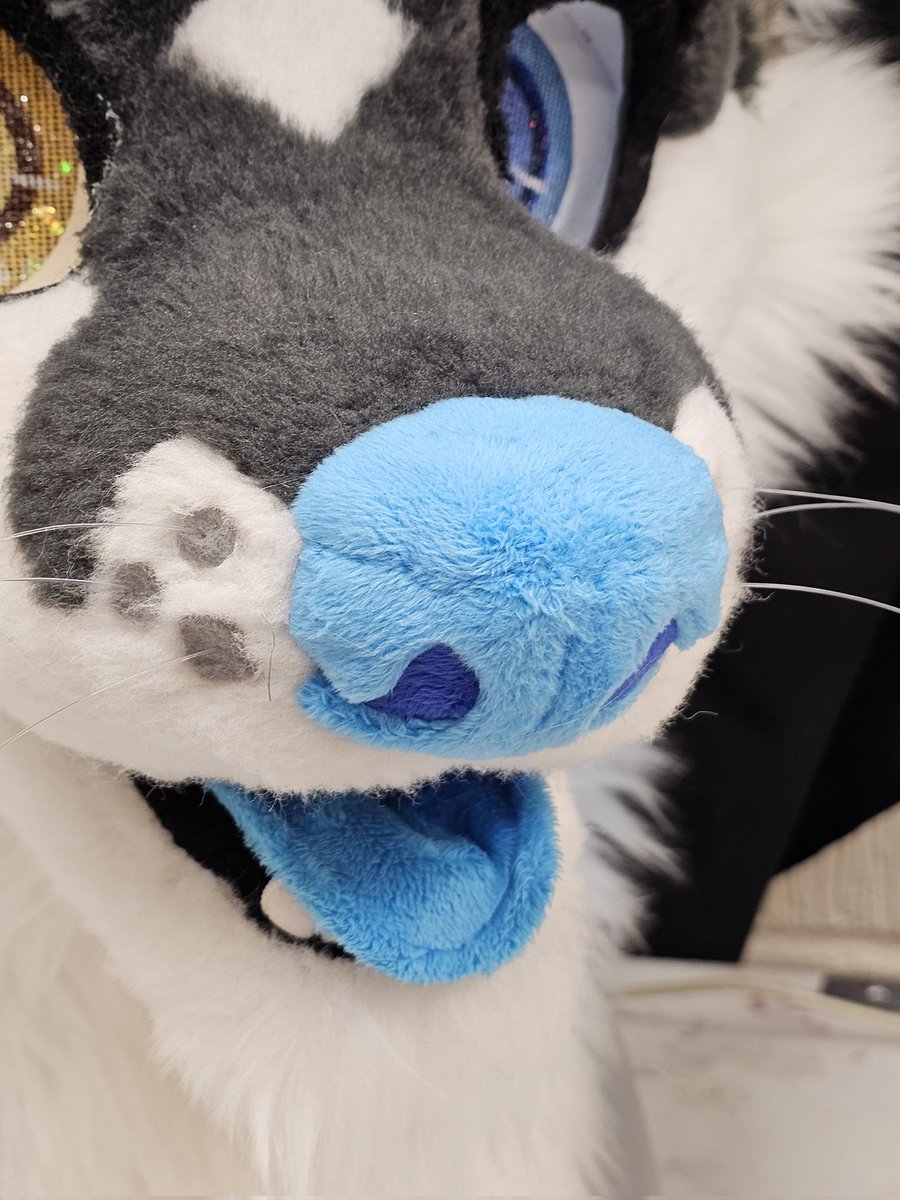 Eden 🪡🏳️‍🌈🎃 🔜 CFz 26 tweet media