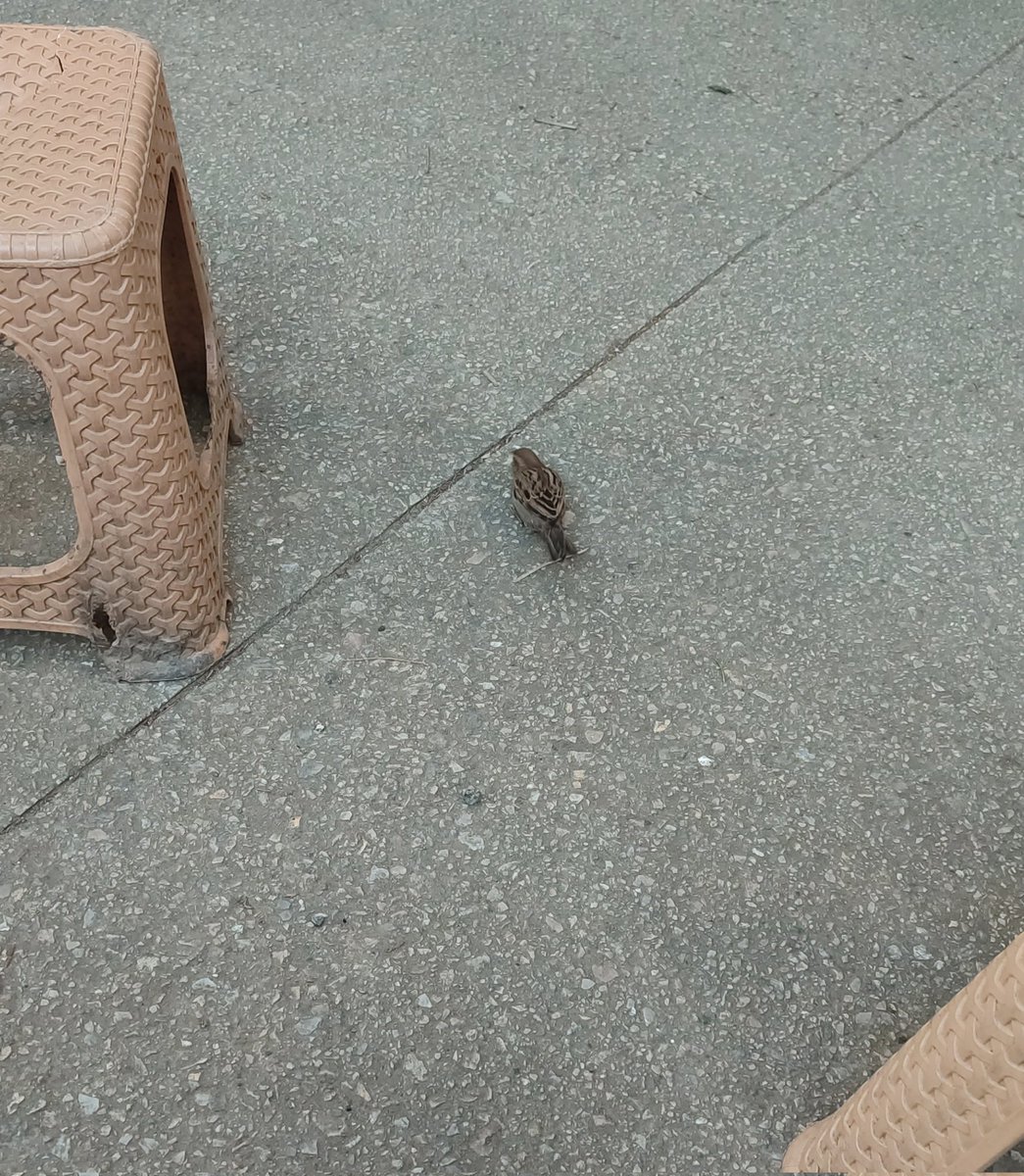 GECE(mavi) tweet media