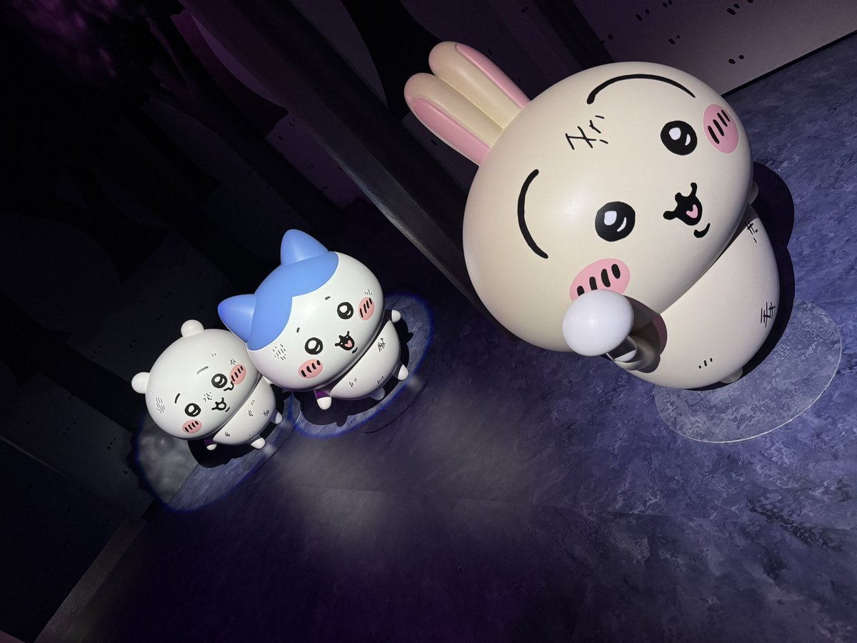 ʜᴏɴɢ tweet media