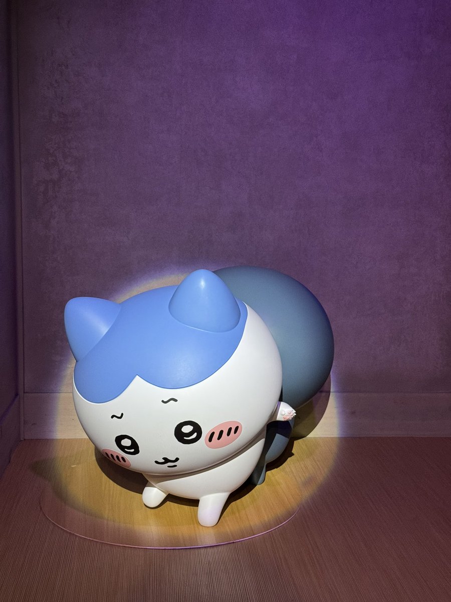 ʜᴏɴɢ tweet media