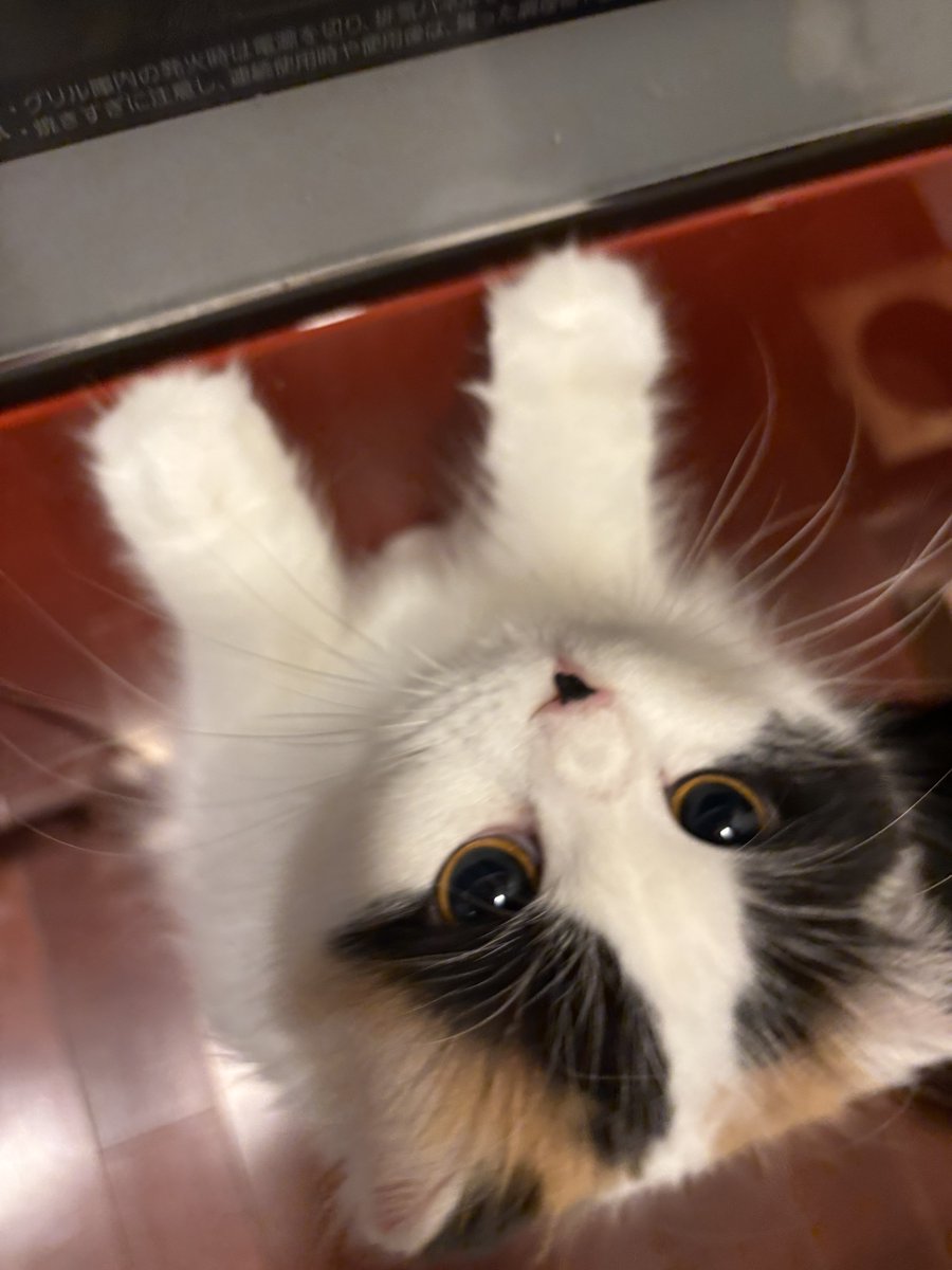 キムチ母‼️ tweet media