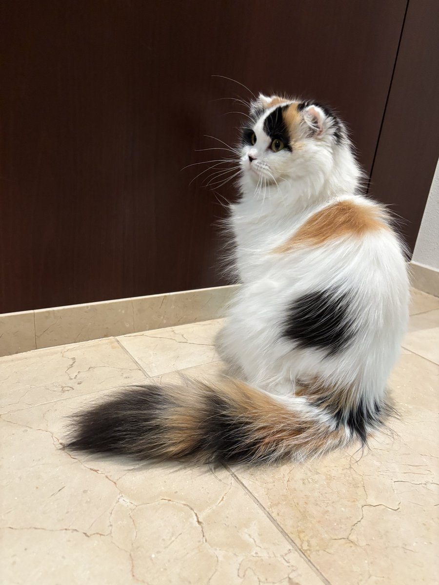 キムチ母‼️ tweet media