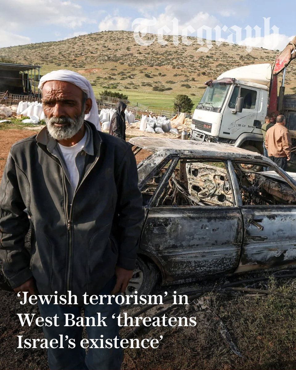 The Telegraph tweet media