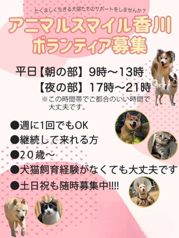📣急募‼️📣拡散希望🙏

ボランティアさん
募集します！

興味のある方、ぜひ連絡ください‼️