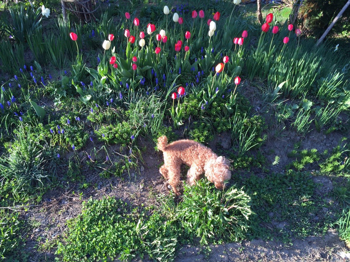 乞食ろう tweet media