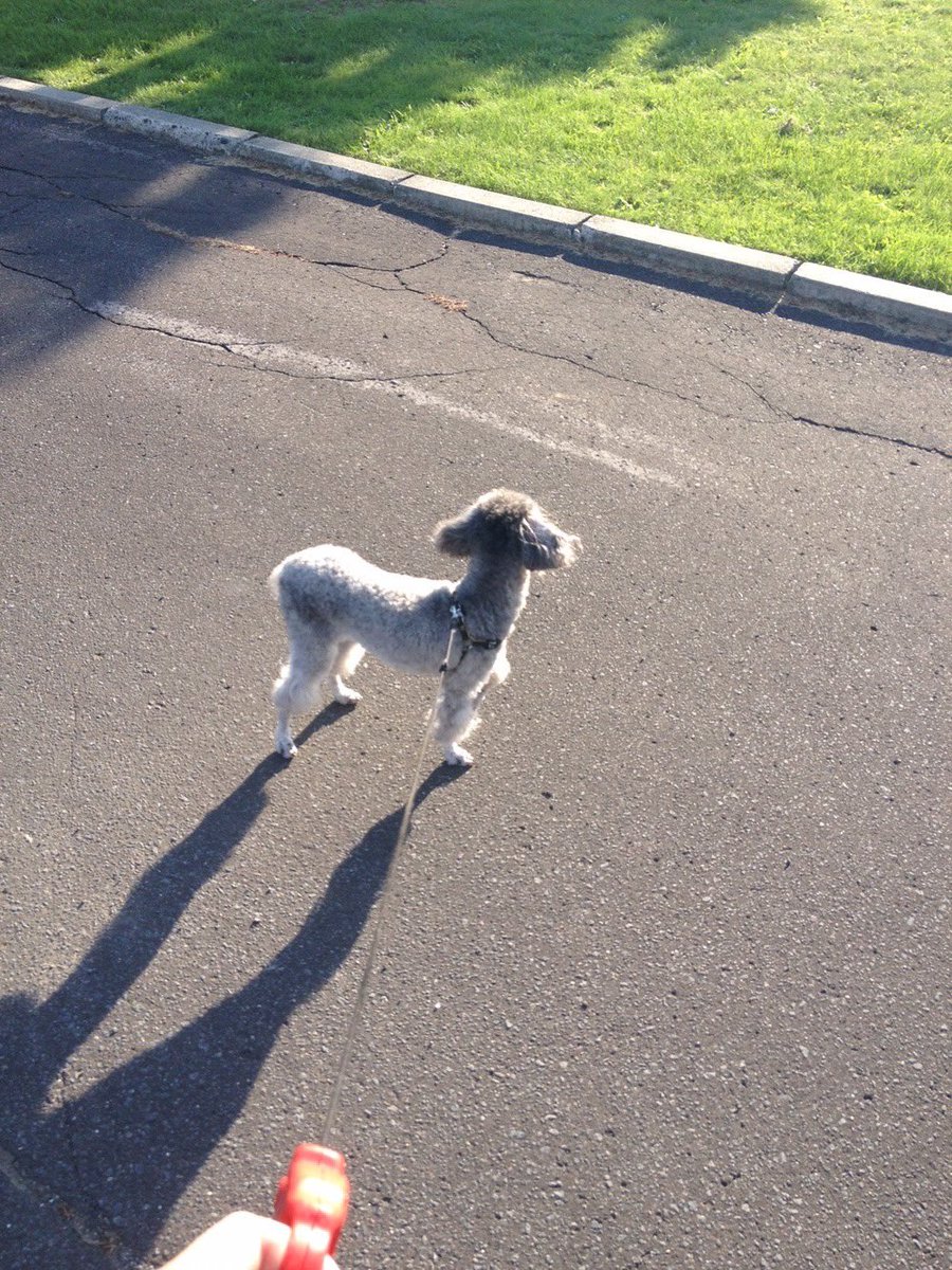 乞食ろう tweet media