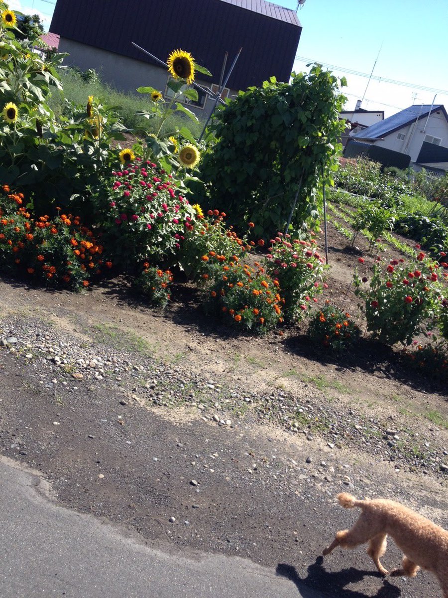 乞食ろう tweet media