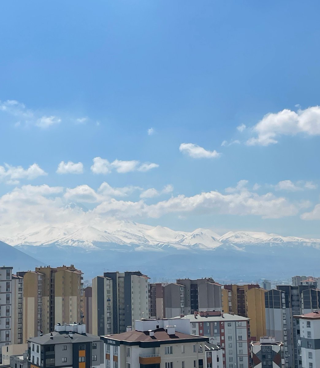 zehra ོ tweet media