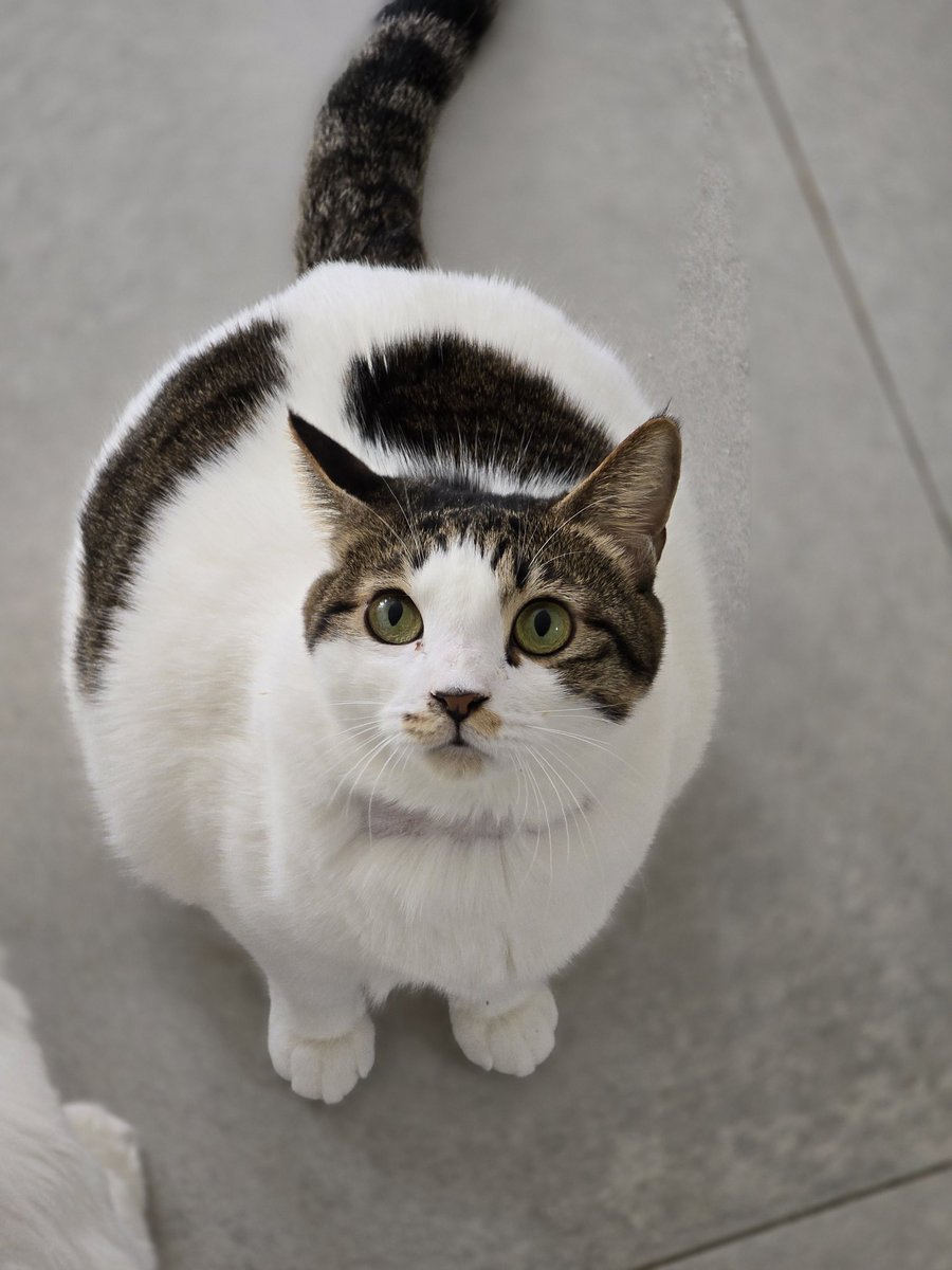 앵알이 tweet media