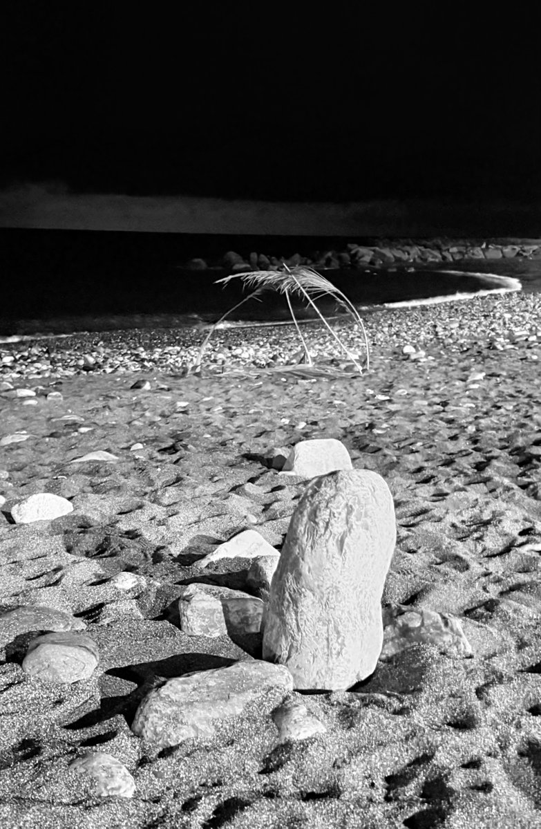 Alonein43672278's tweet image. #photography #blackandwhite #sea #beach #stones #palm #leaves #night