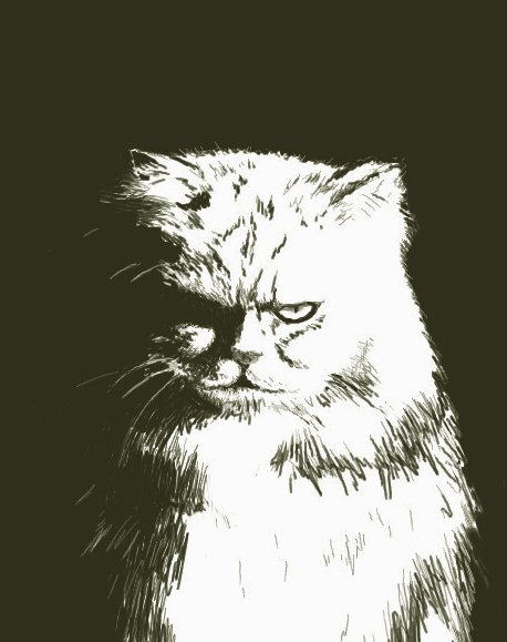 失速の近江屋 tweet media