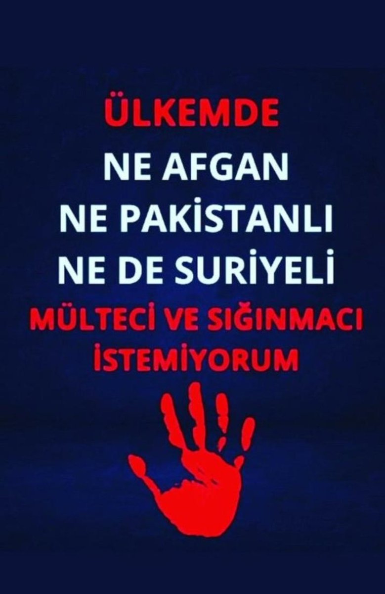 Sinan DOĞAN tweet media