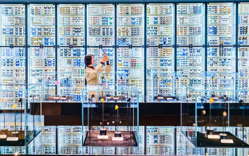 touch_beijing's tweet photo. #Beijing’s Natural #InsectMuseum opened on April 9, featuring over 100,000 insect #specimens and a striking full-wall display of #butterfly specimens. 🦋🦋
Open Tuesday to Sunday, the museum also offers interaction zones with hundreds of live insects and reptiles. #exhibitions https://t.co/E5jA8Fu9aS