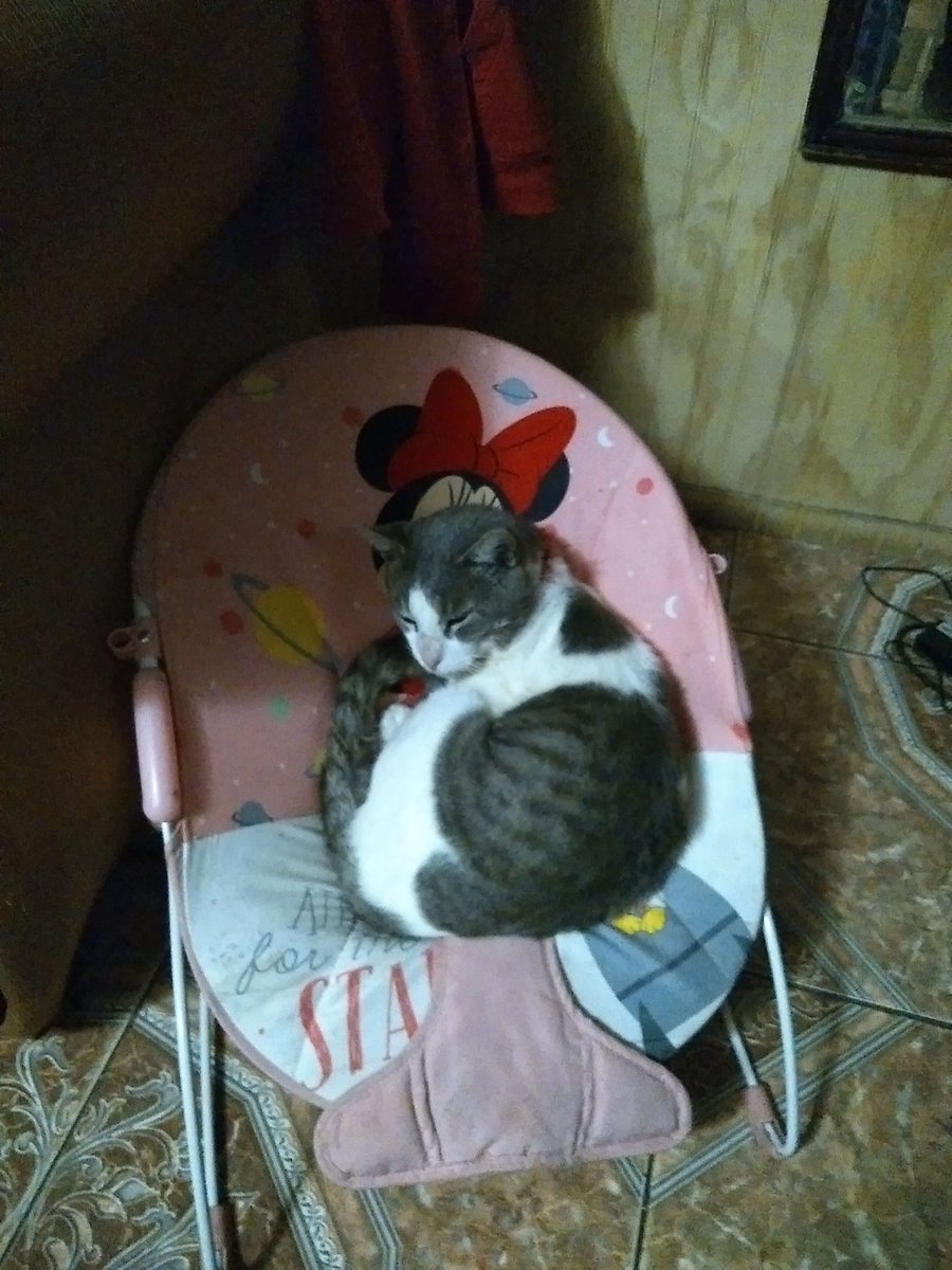 🩷Y🩷 tweet media