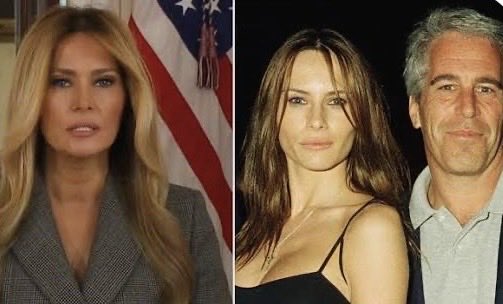 Jeli 💉x 7 ….. VOTE YES ......... Schnauzer mum.❤️ tweet media