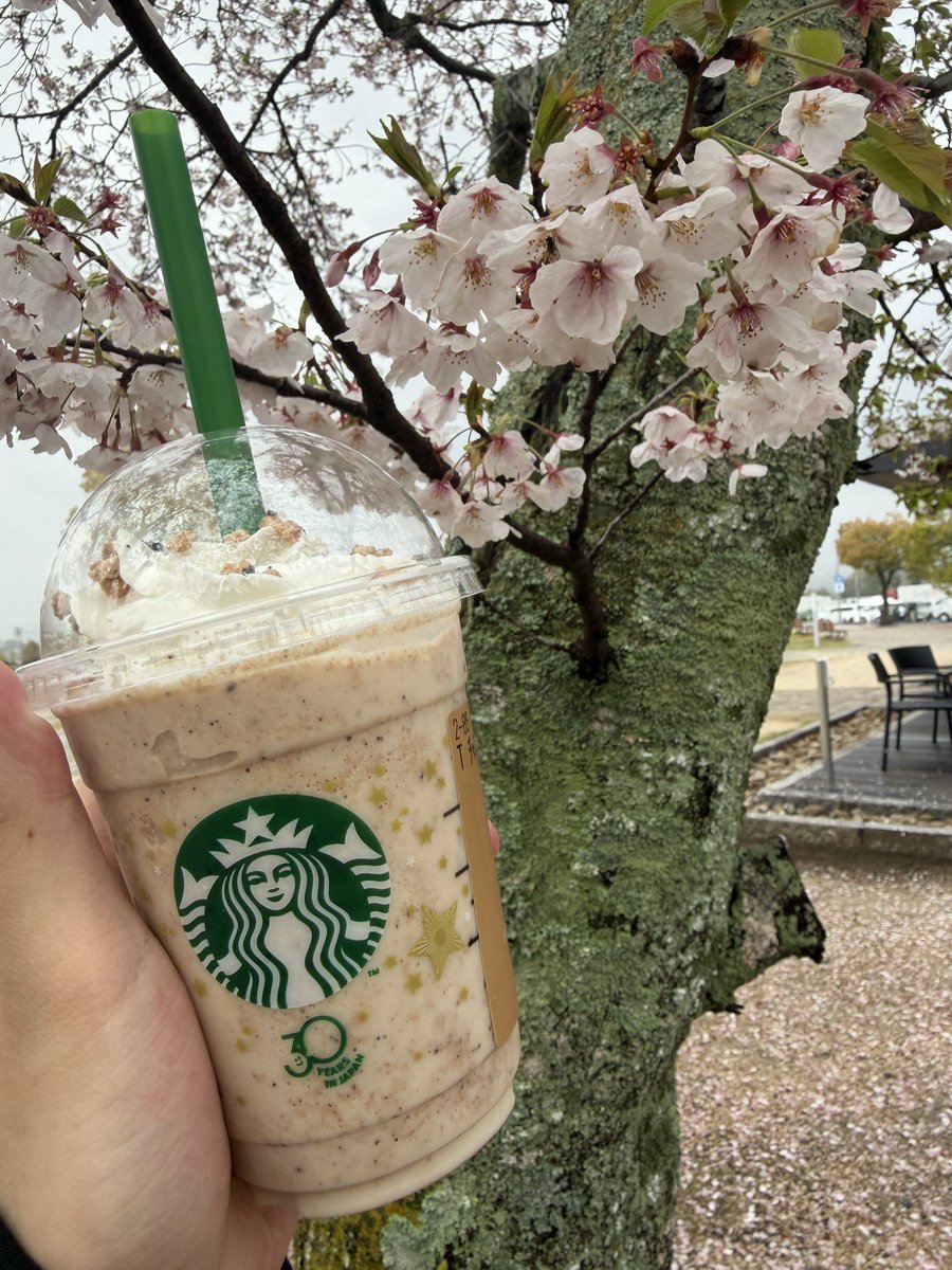 たまを。 tweet media