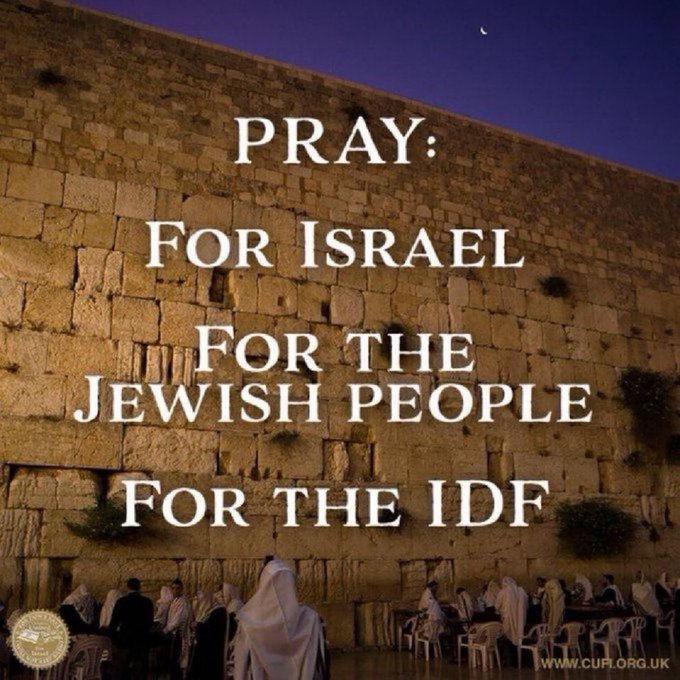 Vivid.🇮🇱 tweet media