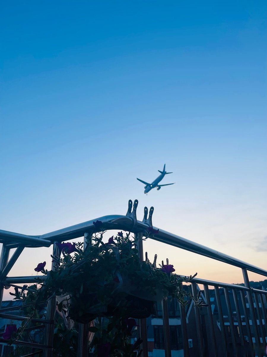 shankara tweet media