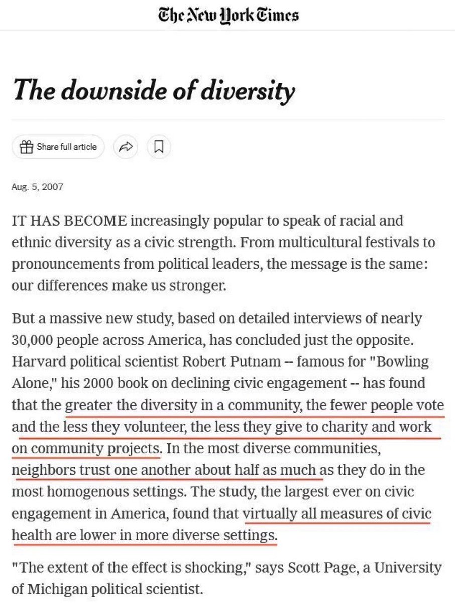 The Rabbit Hole tweet media