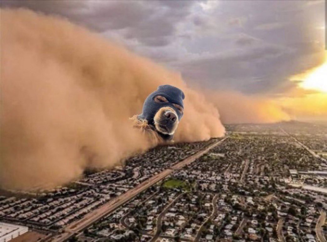 Ski Mask Dog tweet media