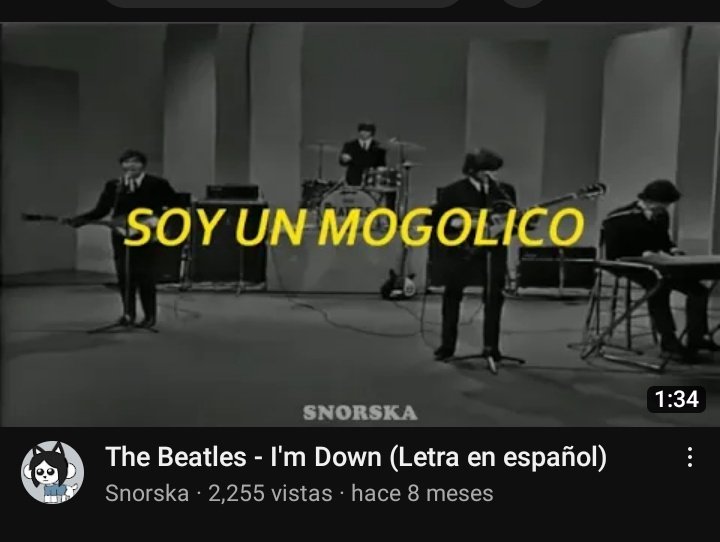 NeuuChannel0 tweet media