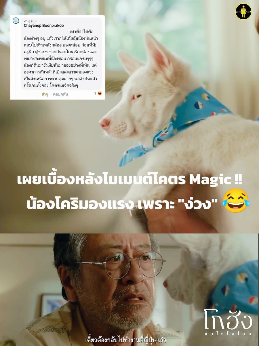 ผู้กำกับ หมู ชยนพ  เผยว่า
คือน้องง่วงๆ อยู่  ทีม ครูฝึก ผู้ช่วยฯ ช่วยกันตะโกนและ เขย่าซองขนมที่น้องชอบ กรอบแกรบๆน้องก็ตื่นมางัวเงียหันมา แต่องศาการหันหน้าที่เป๊ะ แววตามองแรง เป็นสิ่งเหนือการควบคุมมากๆ พอสั่งคัทแล้ว กรี๊ดกันทั้งกอง โคตรแมจิคจริงๆ " 
#โกฮังหัวใจโกโฮม #GOHANTheMovie