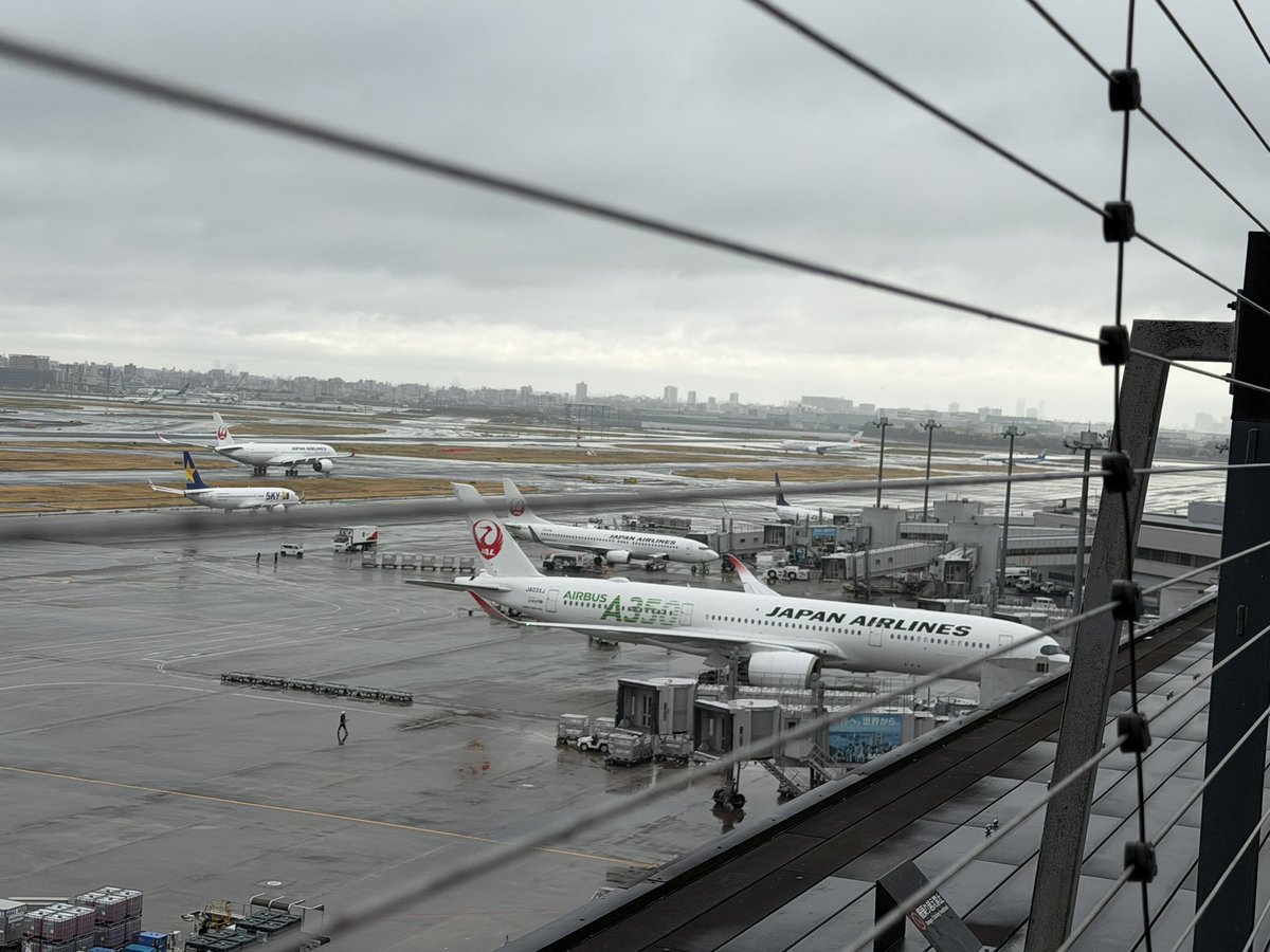 いちごもち@JALサ部員✈️ tweet media