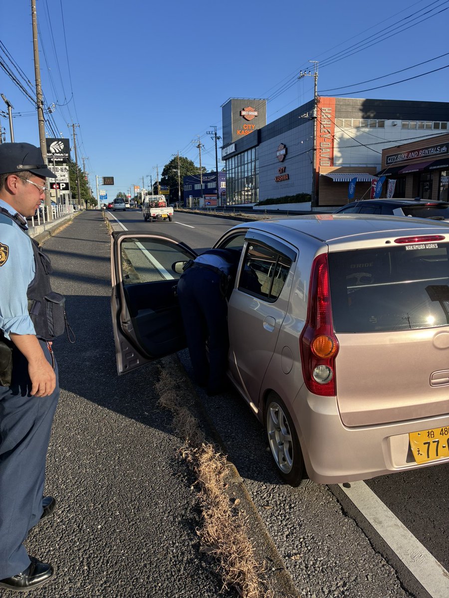 シュビドゥバ tweet media