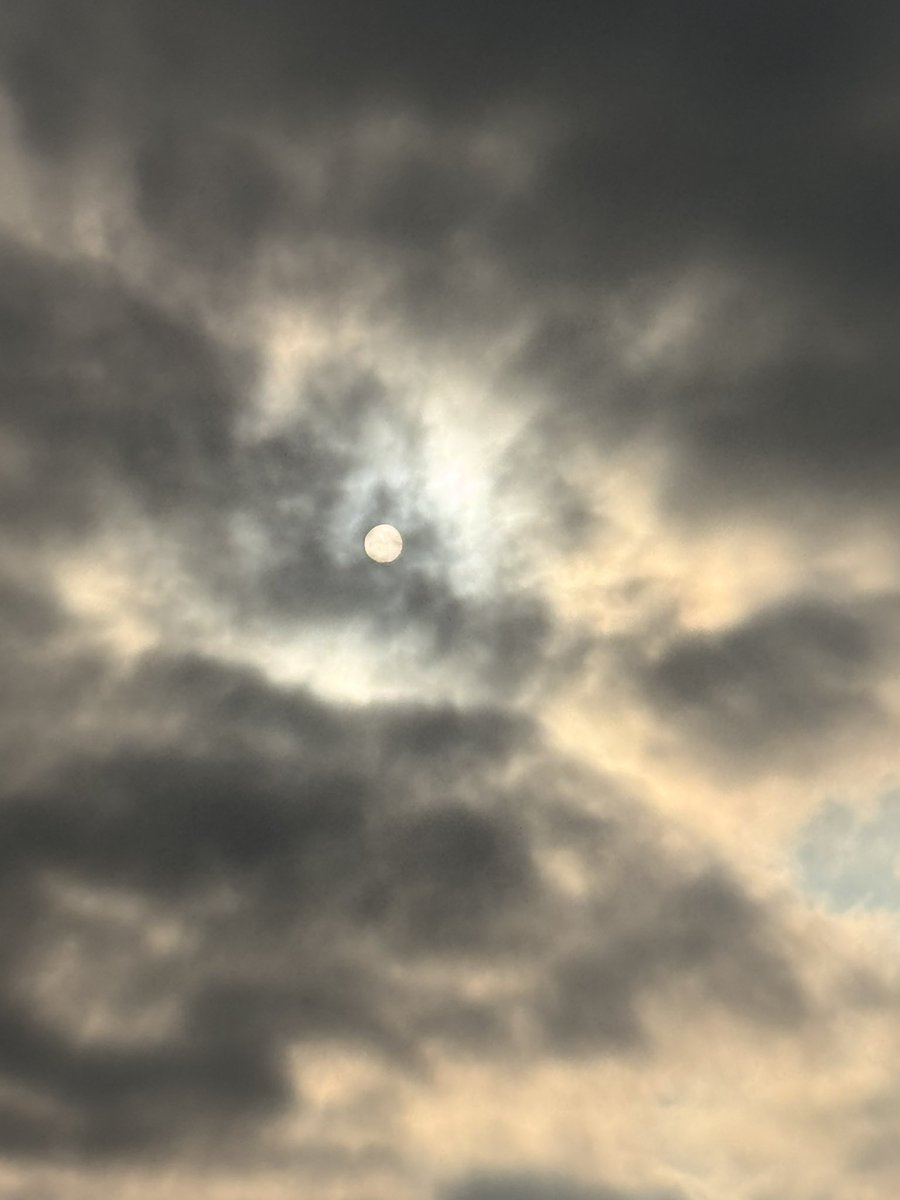 ReneTombarel's tweet image. Et un peu plus tard le soleil montre le bout de son nez #cannes #CotedAzurFrance