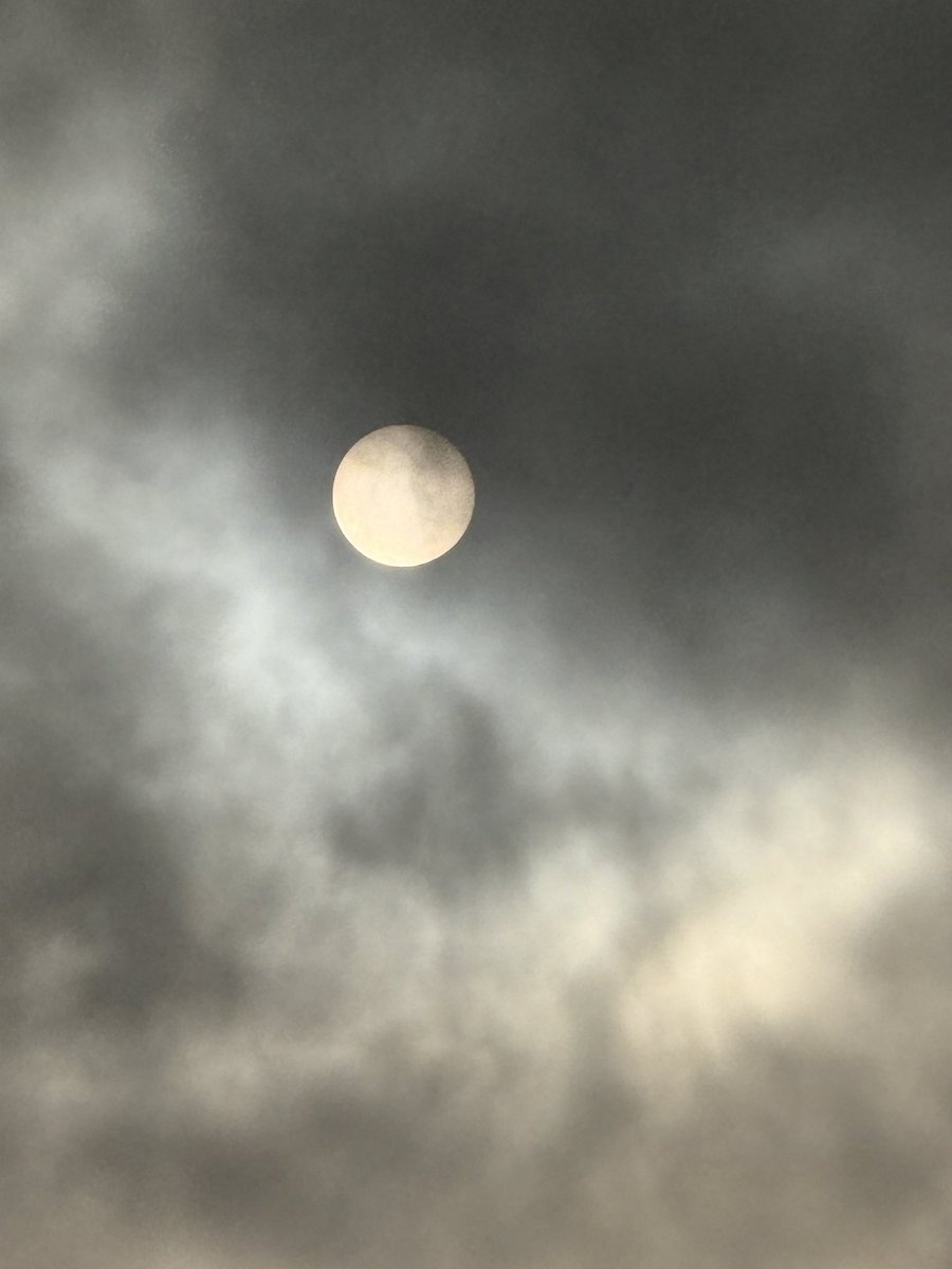 ReneTombarel's tweet image. Et un peu plus tard le soleil montre le bout de son nez #cannes #CotedAzurFrance