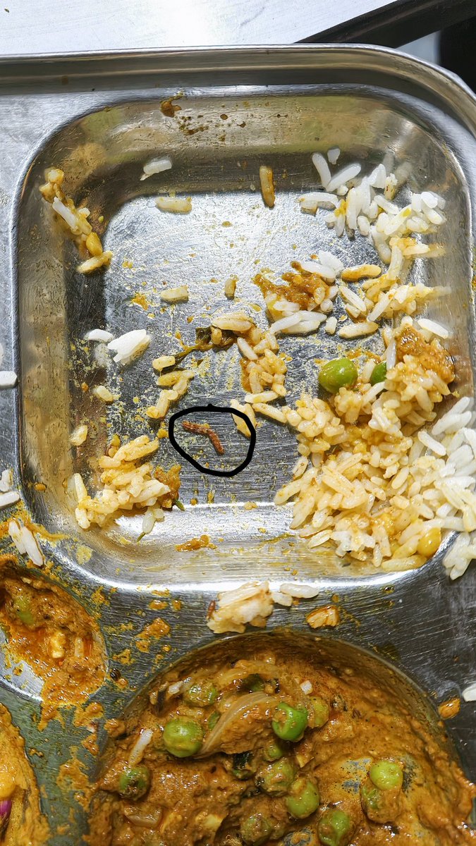 patelajay47's tweet photo. @RajGovOfficial @BhajanlalBjp @MoHFW_INDIA @PMOIndia pease take some strict action against such hotel &amp; dhaba person who is playing with an individual's health and life. https://t.co/oLqjmizr28