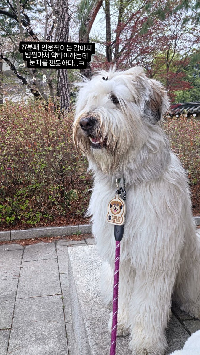 임진섭 정보봇 tweet media