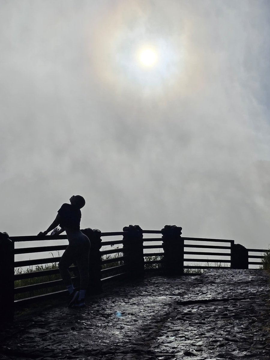 Petita Mwanza tweet media