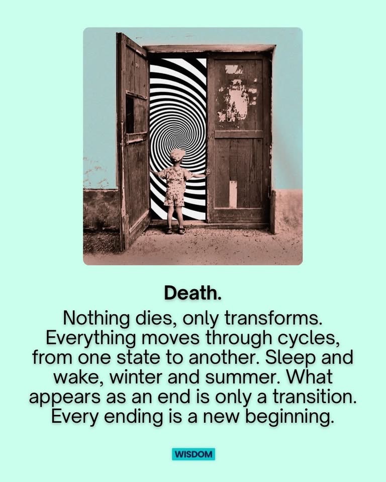 🧬Maxpein🧬 (@maximumpain333) on Twitter photo 