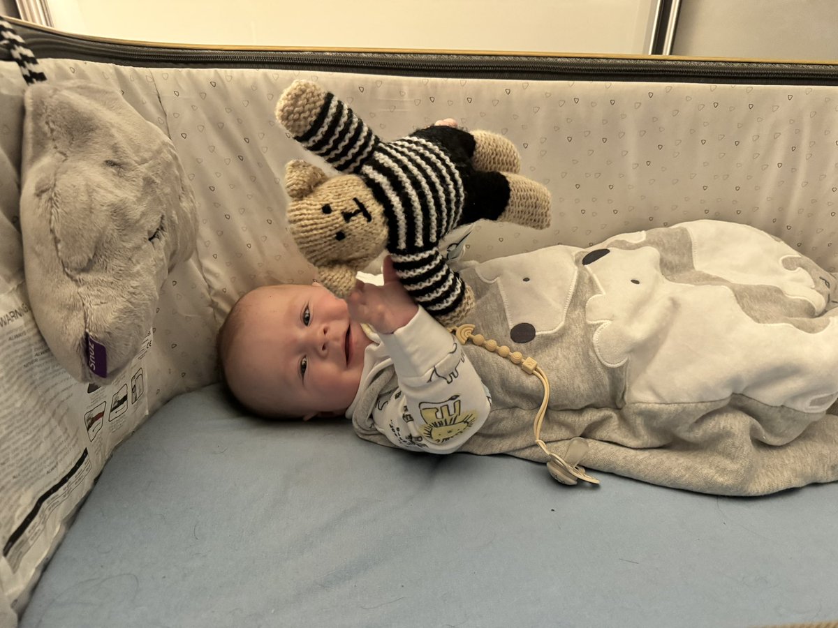 Rhiannon Trenholm tweet media