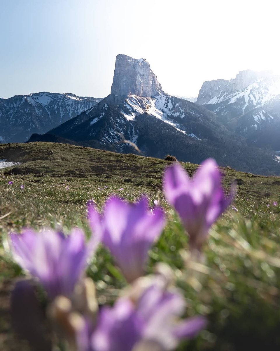 CDIsere's tweet photo. Le Mont Aiguille veille sur les premiÚres fleurs du printemps ðž
ðž De notre ambassadeur ben7va sur instaâš
ððŠðµðªðµ ð³ð¢ð±ð±ðŠð : ð€ðŠðŽ ð±ð¢ðºðŽð¢ðšðŠðŽ ðŽð°ð¯ðµ ð±ð³ðŠÌð€ðªðŠð¶ð¹, ð±ð³ðŠð¯ð°ð¯ðŽ-ðŠð¯ ðŽð°ðªð¯.
#MonIsere #ProfitePartageRespecte #MontAiguille https://t.co/NloApUaakN