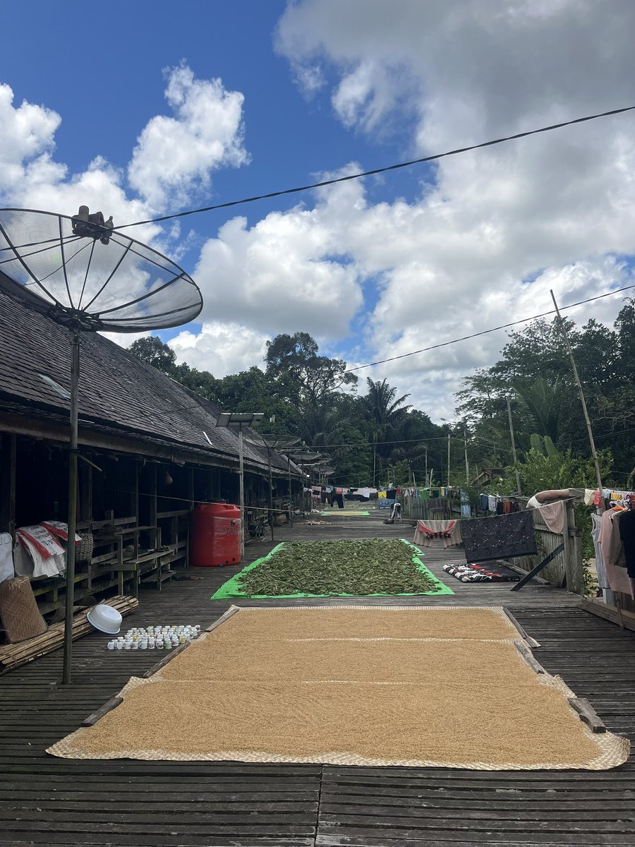 CurtisSChin's tweet image. Thanks for the hospitality! Kalimantan, #Indonesia 🇮🇩 And yes, there’s WiFi. 😎