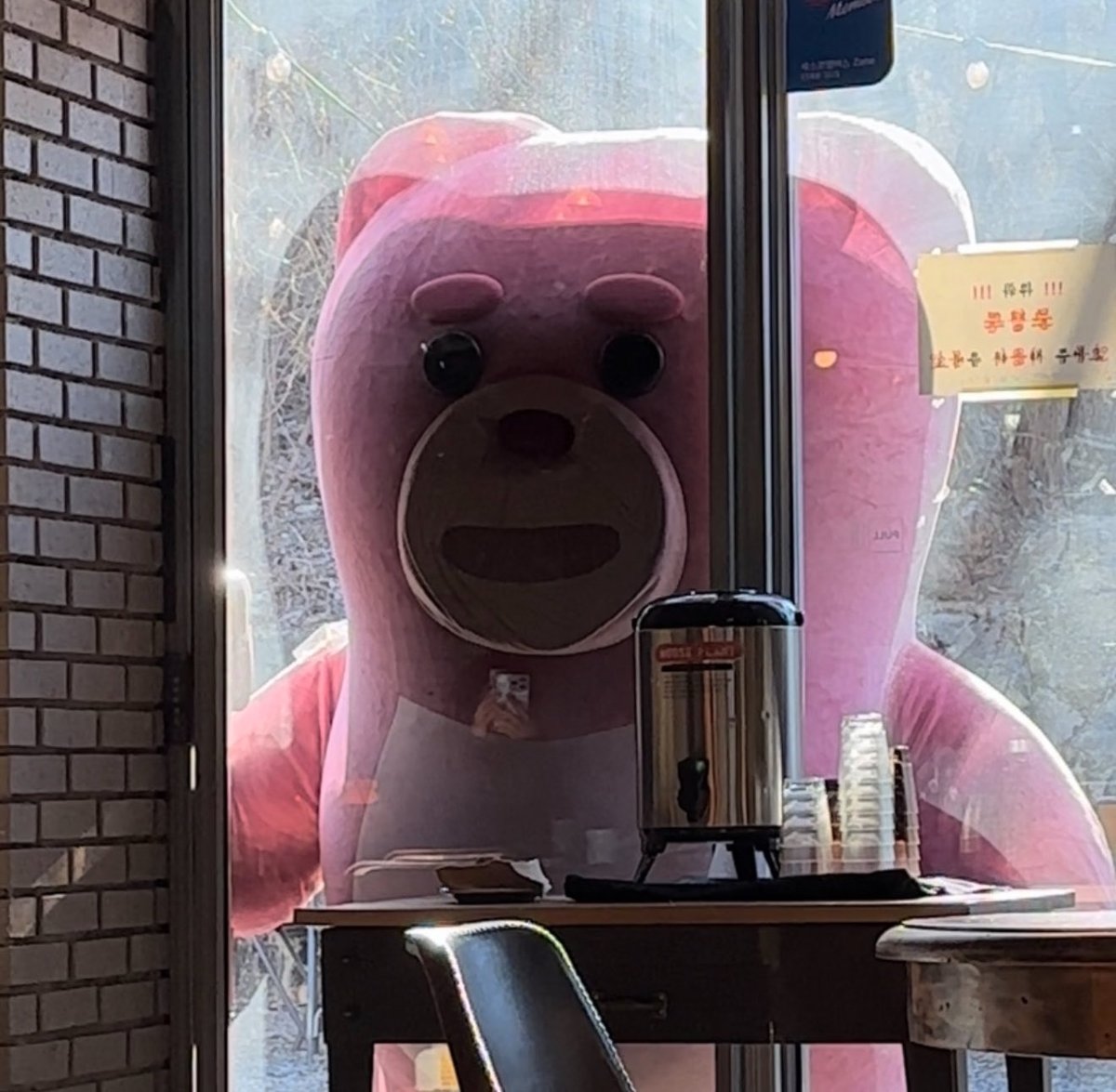벨리곰 tweet media
