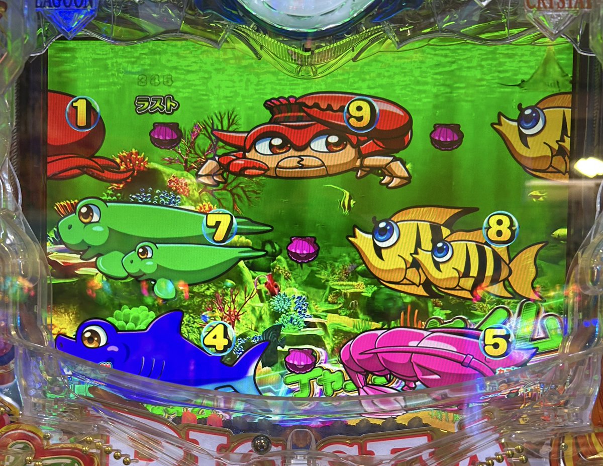 アヒルのはいせい tweet media