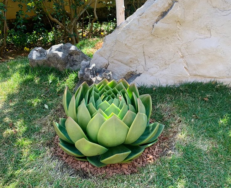 Brittany Davis tweet media