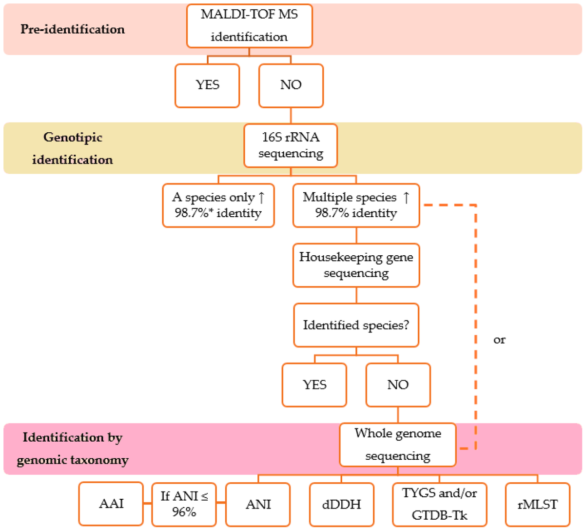 DNA MDPI tweet media